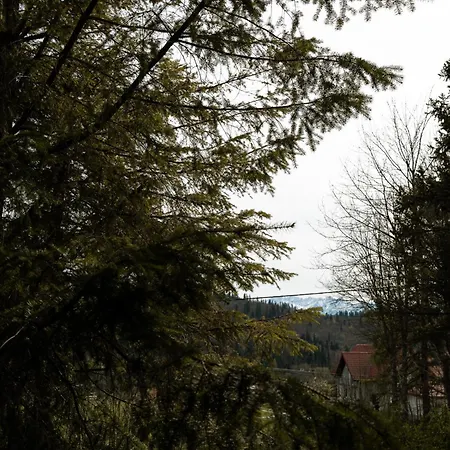 Artist's House Hébergement de vacances